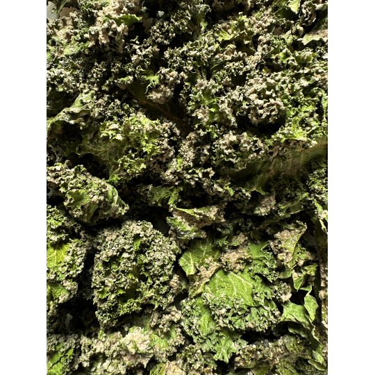 Kalé Organic Kale Chips - Sea Salt (45g Pack)