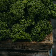 Organic Kale Chips - Variety Pack (3 x 45g)