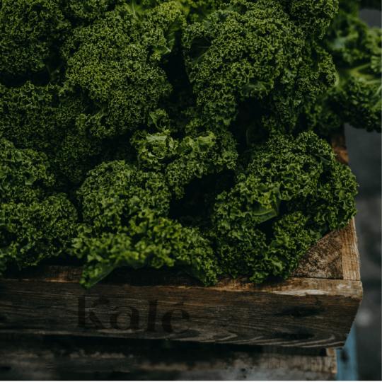 Organic Kale Chips - Variety Pack (3 x 45g)