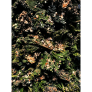 Kalé Organic Kale Chips - Garlic (45g Pack)